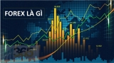 Sự phát triển trò chơi Forex – Những lưu ý khi chơi mà bạn cần phải quan tâm
