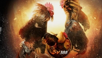 Nạp tiền sv388 – Các điểm cần lưu ý khi nạp tiền sv388